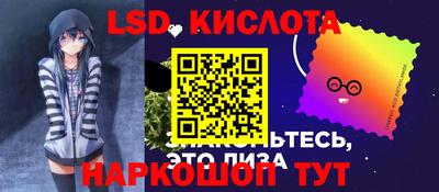 гашик Будённовск