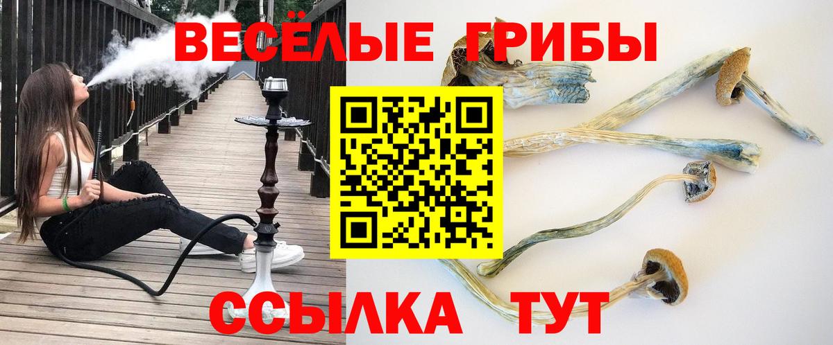 Галлюциногенные грибы Cubensis Чехов