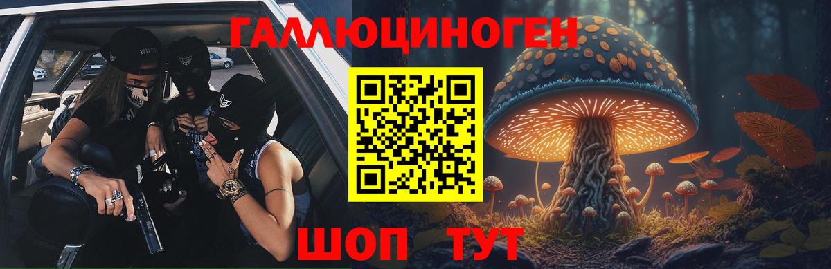Чехов  Псилоцибиновые грибы Cubensis  Вход с VPN 